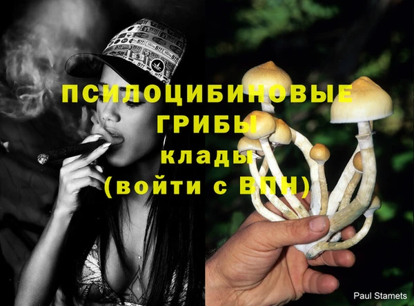 прущий лед Алексин